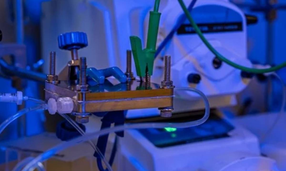Este revolucionario método recupera litio de baterías sin contaminar