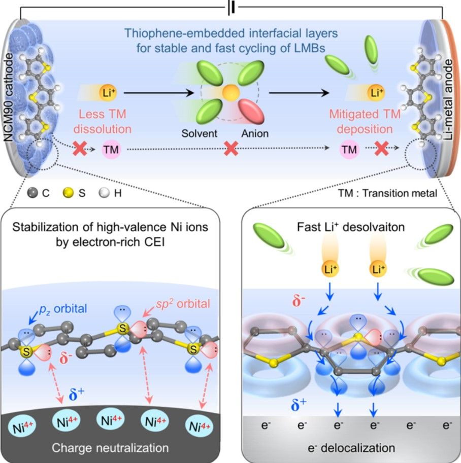 Coches eléctricos capaces de cargar en solo 12 minutos gracias al litio-metal